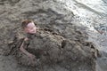 Happy boy buried in sand on beach Royalty Free Stock Photo